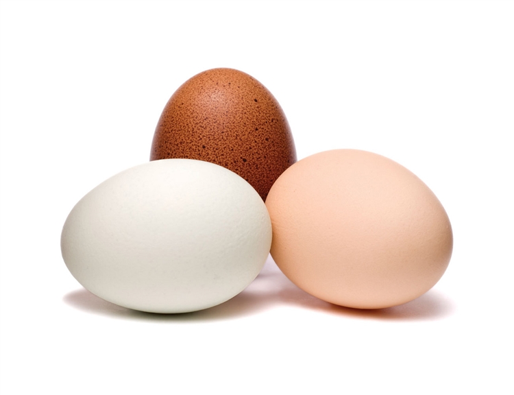 Yumurtaların renklerinin önemi varmıdır.